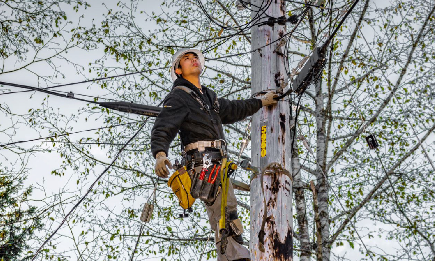 Be a star! Share your job photos with the Trust Alaska Electrical