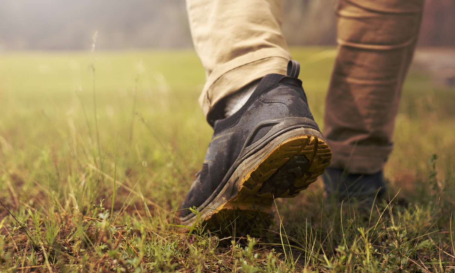 Walk Your Way to Better Health Alaska Electrical Trust Funds Walk Your Way to Better Health Alaska Electrical Trust Funds